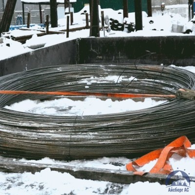 Проволока овальная 0,22х0,3-1-55 ГОСТ 3875-83 купить в Минске