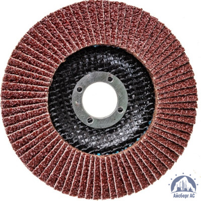 Круг лепестковый КЛТ 125х22 мм, P80, Elitech, 1820,039100 купить в Минске
