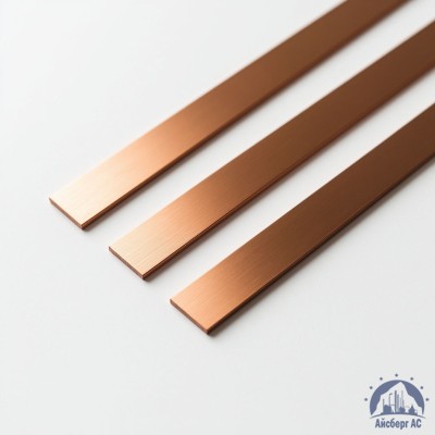 Полоса медная 100х10 мм ШМТ ГОСТ 434-78 купить в Минске