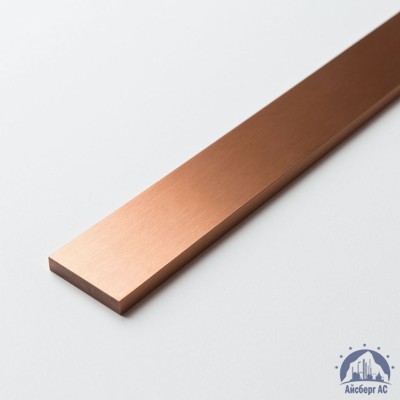 Полоса медная 100х12 мм М1М ГОСТ 434-78 купить в Минске