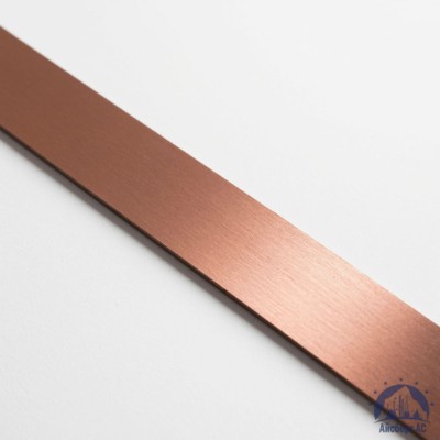 Полоса медная 100х12 мм М1Т ГОСТ 434-78 купить в Минске