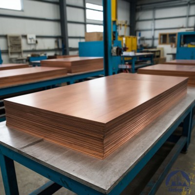 Плита бронзовая 12х600х1500 мм БРХЦР купить в Минске