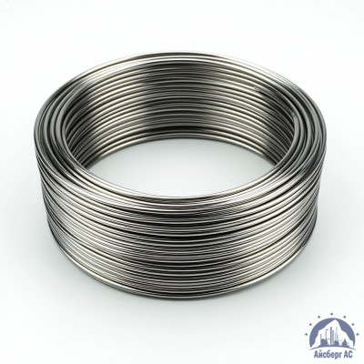 Проволока круглая 0,2-П-2-55 ГОСТ 3875-83 купить в Минске