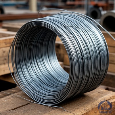 Проволока   1-1-25 ГОСТ 5663-79 купить в Минске