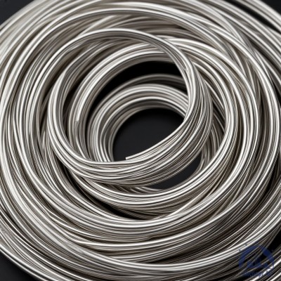 Проволока серебряная СрСм 98-2 ТУ 48-1-26-84 купить в Минске