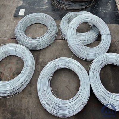 Проволока 0,3-Х15Н60 ГОСТ 8803-89 купить в Минске