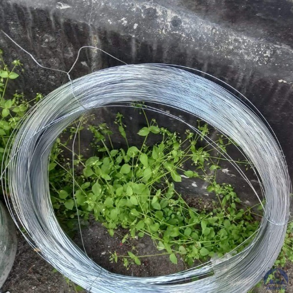 Проволока 0,34-Х20Н80-ВИ ГОСТ 8803-89