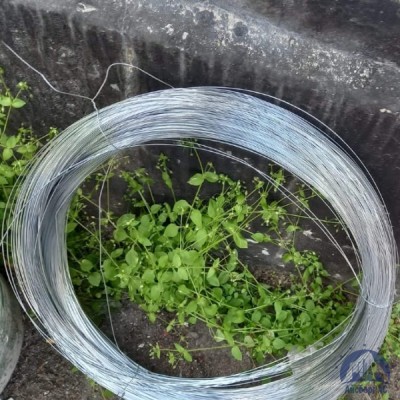 Проволока 0,34-Х20Н80-ВИ ГОСТ 8803-89 купить в Минске